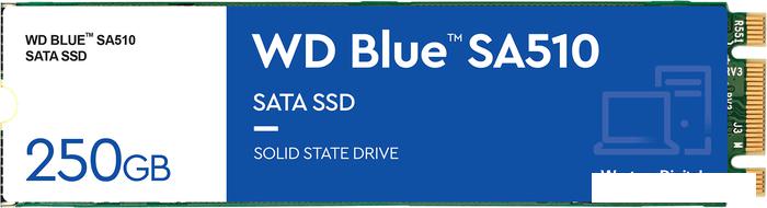 SSD WD Blue 250GB WDS250G3B0B - фото